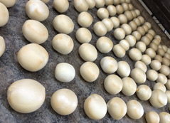 島田商店の手作り麩