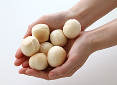 島田商店の手作り麩